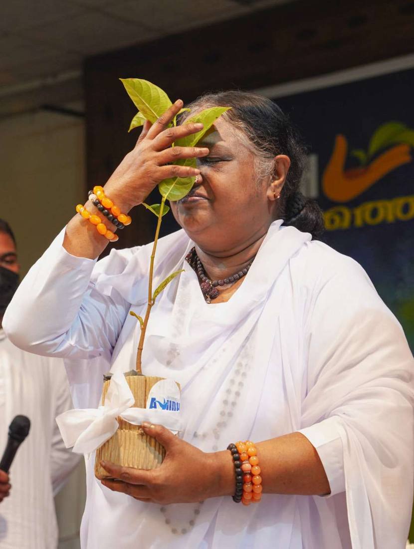 Amma holding a sapling